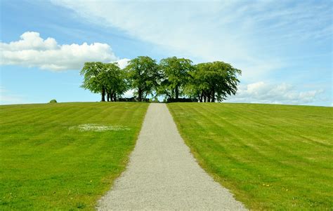 Himmel Baum Natur - Kostenloses Foto auf Pixabay - Pixabay