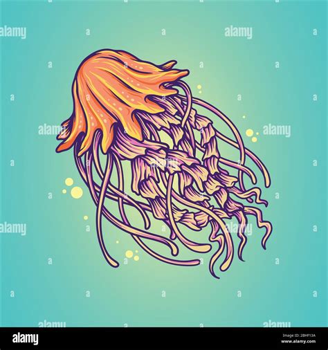 Hand drawn sketch isolated jellyfish, marine animals - Stock Vector illustration nautical Stock ...