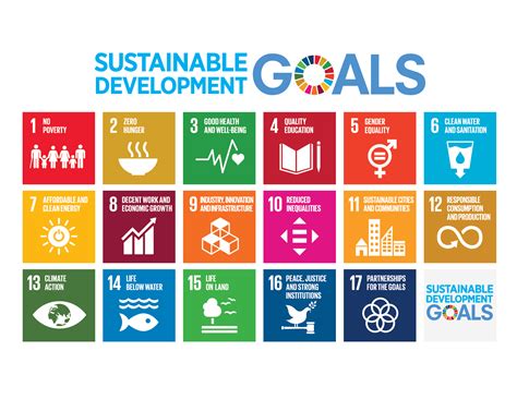 What are the Sustainable Development Goals?