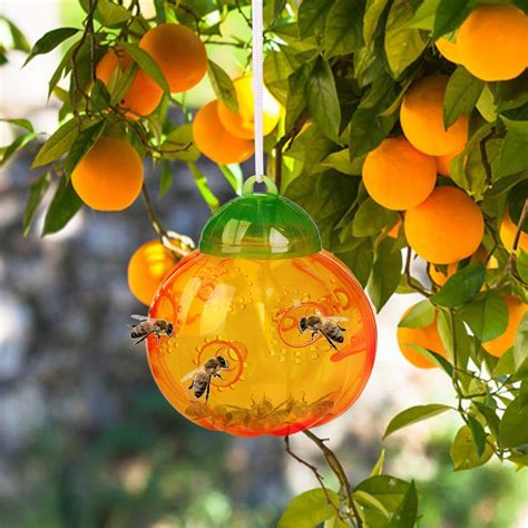 Aspectek Wasp Trap Outdoor or Indoor Hanging Helps You to Rescue from ...