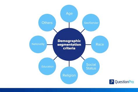 Demographic segmentation: Importance, how-to guide, template, and ...