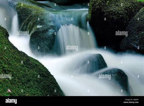Germany, Black Forest: Waterfalls of Triberg Stock Photo - Alamy