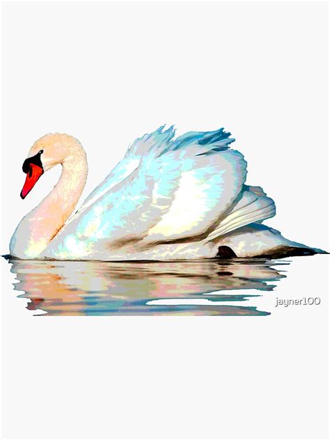 "Swan" Sticker for Sale by jayner100 | Redbubble