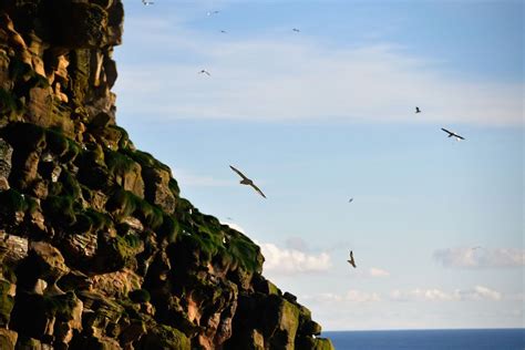 Foula—the Most Remote Inhabited Island in Great Britain - The Atlantic