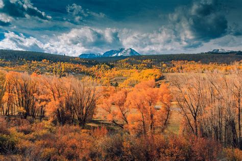 Day 63 – Fall Colors In Colorado | Belinda Shi Photography | Travel ...