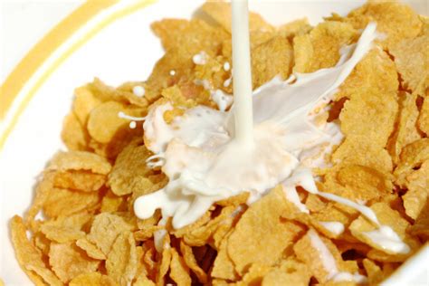 Cereal And Milk Splash Stock Photo - Download Image Now - iStock