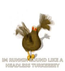 Running Chicken Cartoon GIFs | Tenor