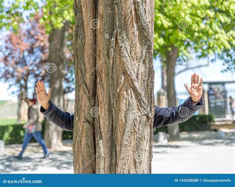 Man Hiding Behind Tree Stock Images - Download 158 Royalty Free Photos