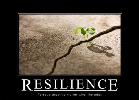 5 Characteristics Of Incredibly Resilient People | Resilience quotes, Resilience, Funny quotes