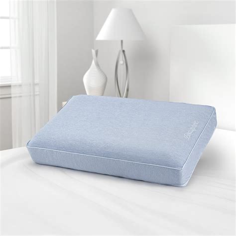 Beautyrest Silver Aquacool Memory Foam Pillow With Removable Cover, StandardQueen - Walmart.com ...