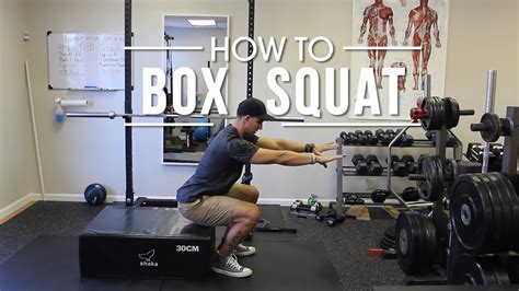 How To Box Squat - YouTube