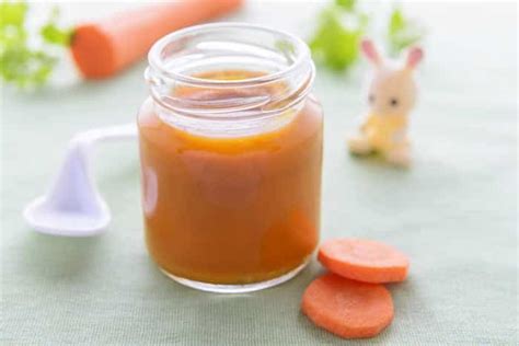 Organic Carrot Baby Food Recipe | Blender Babes