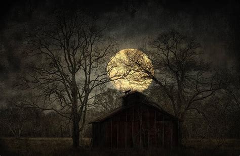 Witches Moon Digital Art by Hazel Billingsley - Pixels