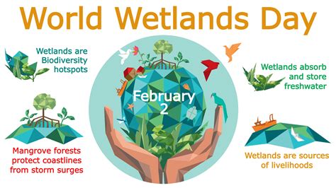 World Wetlands Day: Action for people and nature