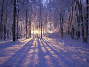 Winter Scene Wallpapers - Wallpaper Cave