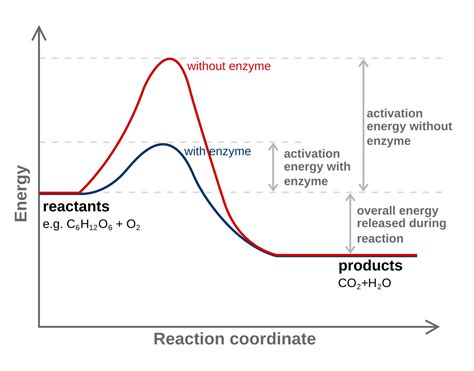 Interpreting A Reaction Energy Diagram