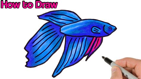 Top 999+ fish drawing images – Amazing Collection fish drawing images Full 4K