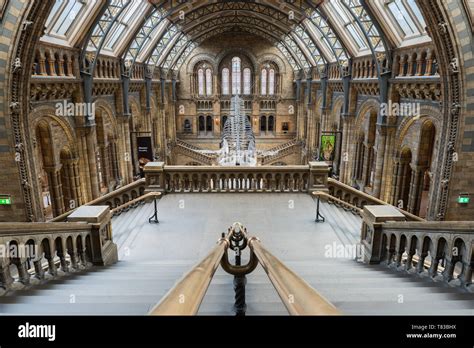 National History Museum in London, England Stock Photo - Alamy