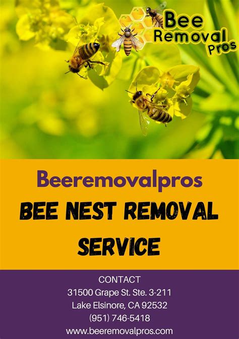 Honey Bee Nest Removal Service | Beeremovalpros