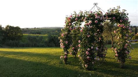 Fattoria La Loggia, Montefiridolfi, Firenze, Wedding Venue