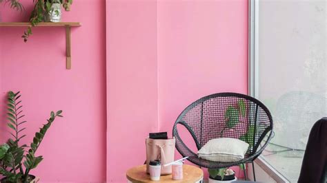 Download A Pink Room With A Chair And A Plant | Wallpapers.com