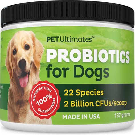 The Best Probiotics For Dogs - Dogtime