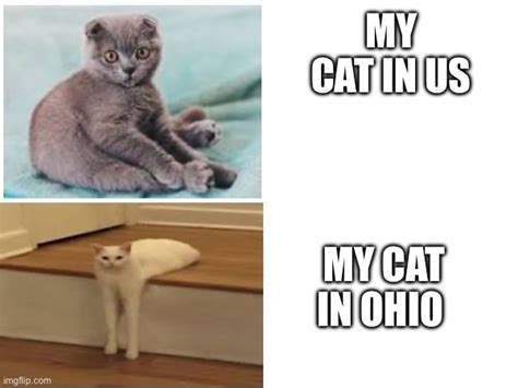 memes-ohio Memes & GIFs - Imgflip