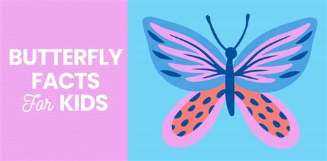 10 Fascinating Facts About Butterflies, 47% OFF