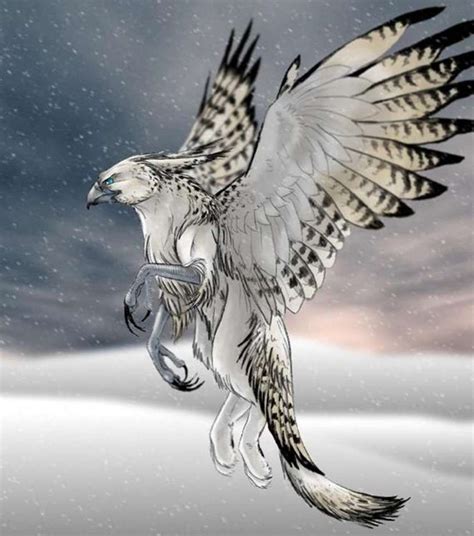 A white griffin | Mythical creatures art, Fantasy creatures, Fantasy ...