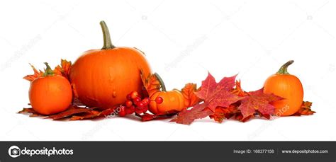 Pumpkins and fall leaves border isolated on white — Stock Photo ...