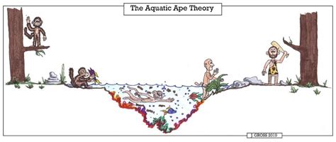 Alternative Theories of Homo Evolution