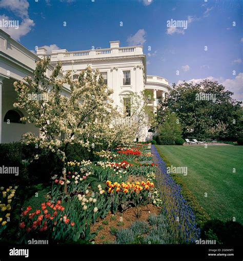 White house rose garden 1962 hi-res stock photography and images - Alamy