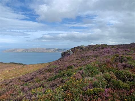 Conwy Mountain Run - Mark and Jean travel to... - Mark Miller