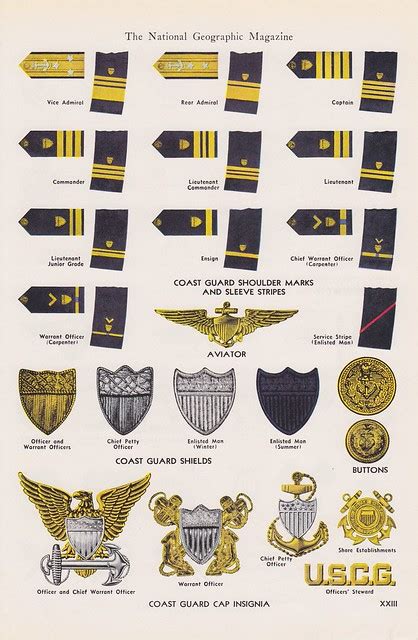 Coast Guard Rank Insignia Chart