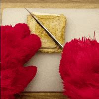 Cut Sandwich GIFs - Find & Share on GIPHY