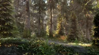 Skyrim Flora Overhaul SE at Skyrim Special Edition Nexus - Mods and ...