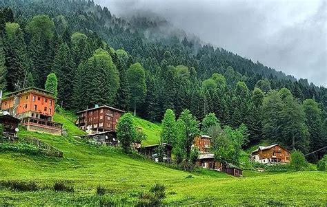 Ayder Plateau: Where Nature and Adventure Meet in Rize, Turkey