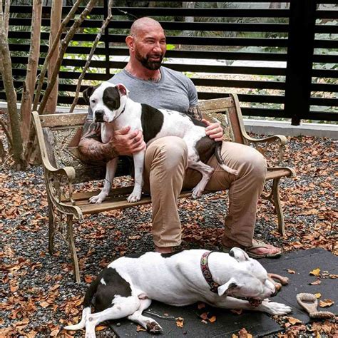 Dave Bautista Adopts Two Abandoned Pit Bulls