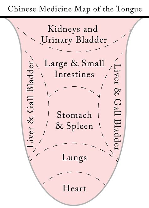 What Does Your Tongue Say About Your Health?! : Tongue Diagnosis — Lily ...