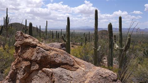 Saguaro National Park: Trails, Viewpoints, Hotels & Camping