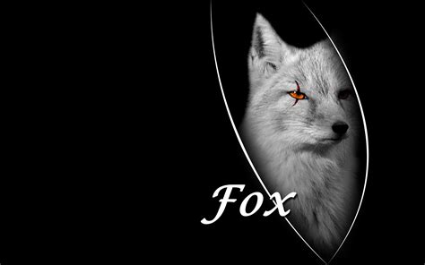 Cool Fox Wallpapers - Top Free Cool Fox Backgrounds - WallpaperAccess