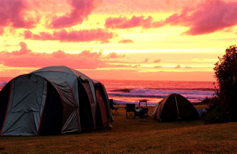 Little Beach campground | NSW National Parks