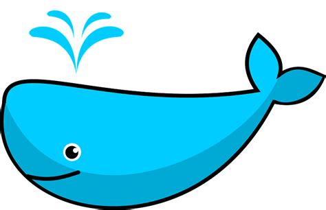 Cute whale clipart. Free download transparent .PNG | Creazilla
