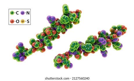 1,062 Glucagon Images, Stock Photos & Vectors | Shutterstock