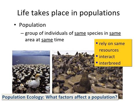 Population Ecology