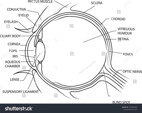 Simple Eye Diagram