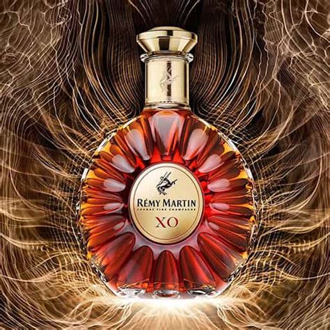 Best XO Cognac - TOP 30 Cognac Brands 2024 | WikiliQ®