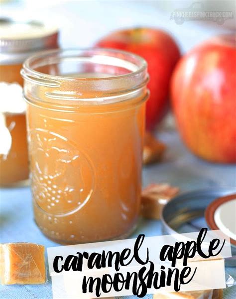 10 Best Moonshine Recipes