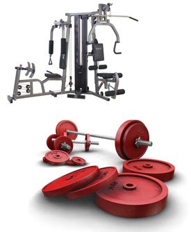 Finally Fit: Articles - Machines Vs. Free Weights