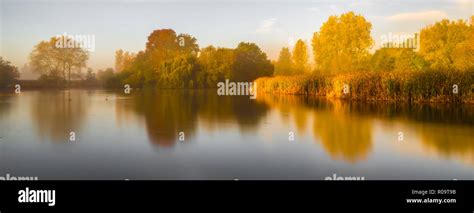 View over Backwell Lake with mist and Autumn colour in the trees ...